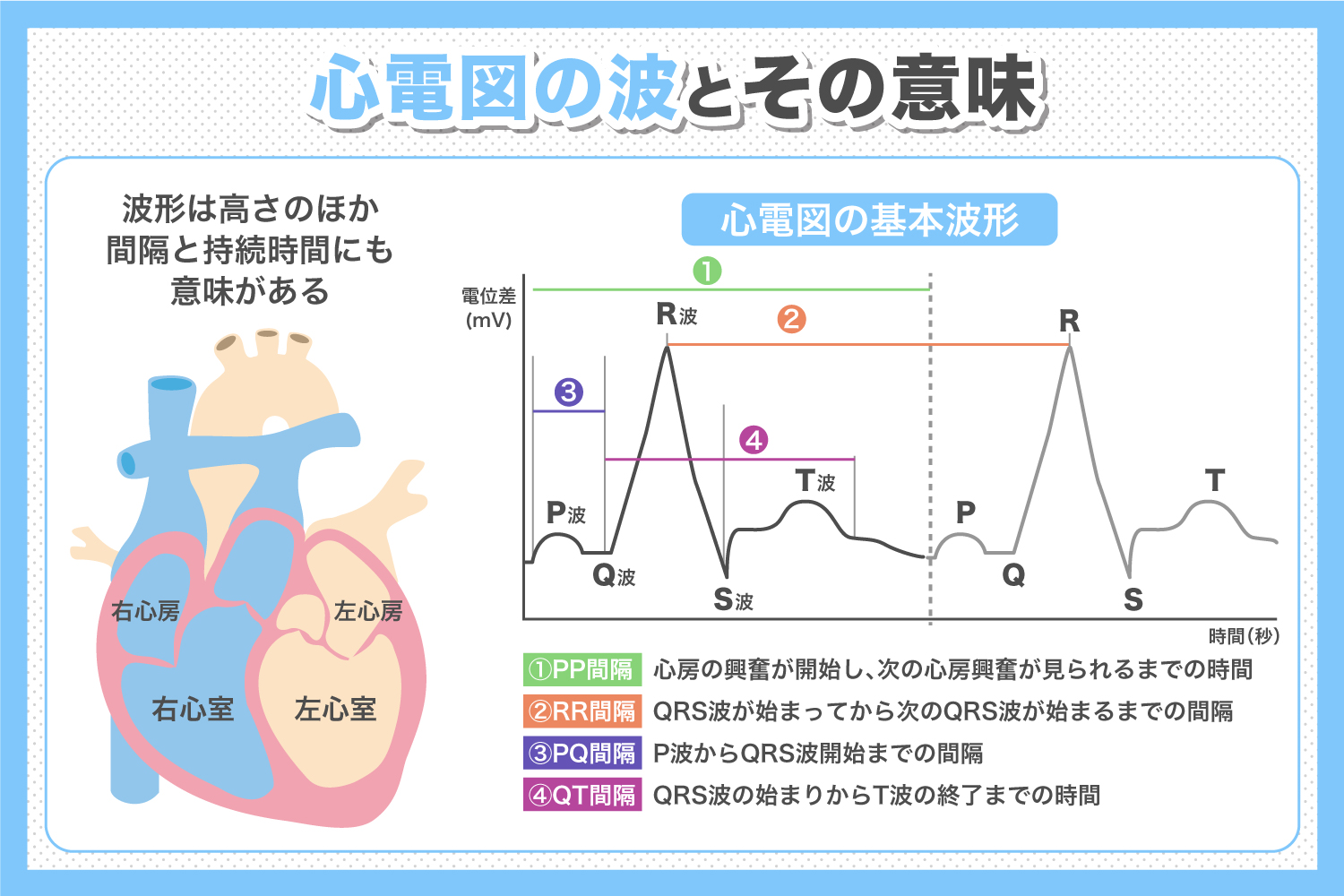 心電図の波形とその意味