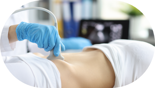 各種医療用カメラや超音波エコーの接続