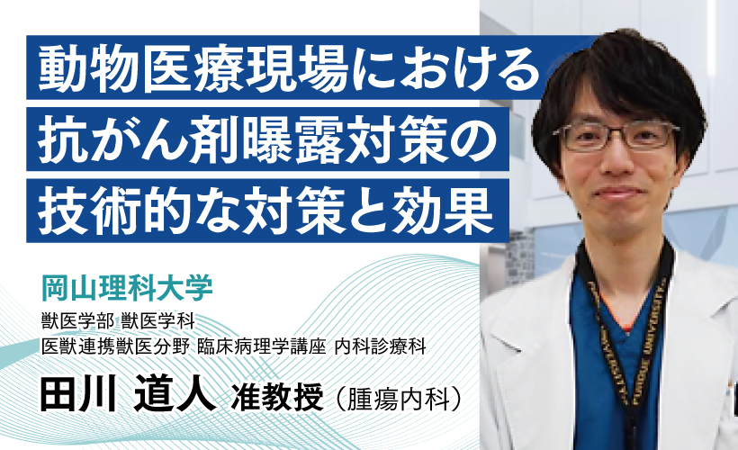 コラムタイトル画像